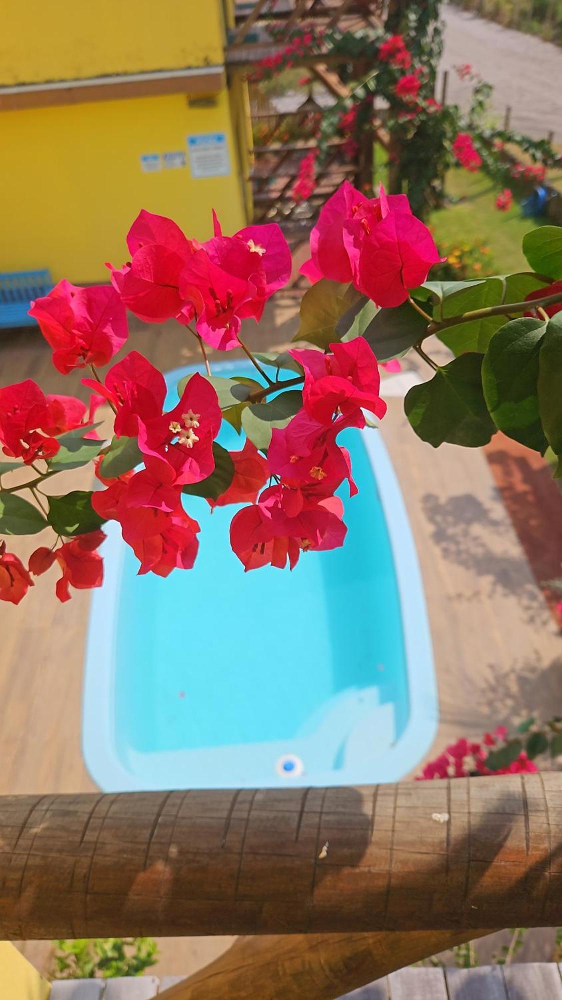 Ilha Do Contrato Portal Flat Aparthotel Igrapiuna Екстериор снимка